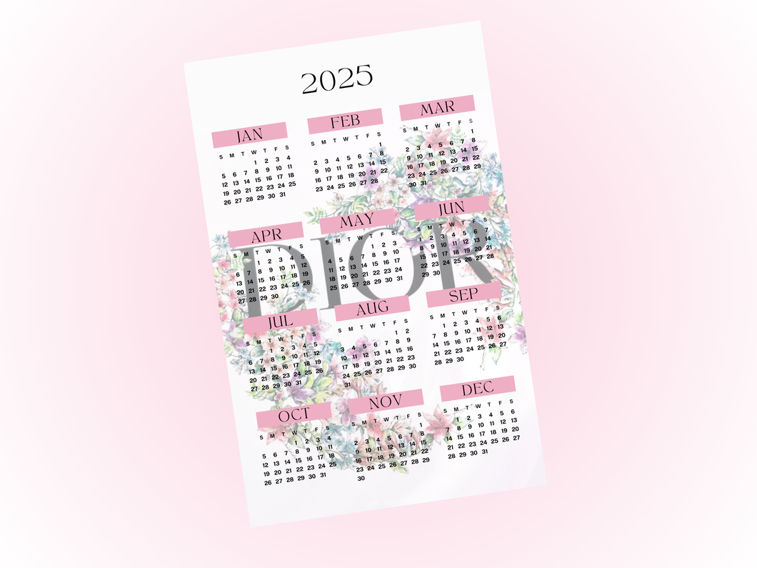 2025 Year at a glance | A5 Rings | Dior
