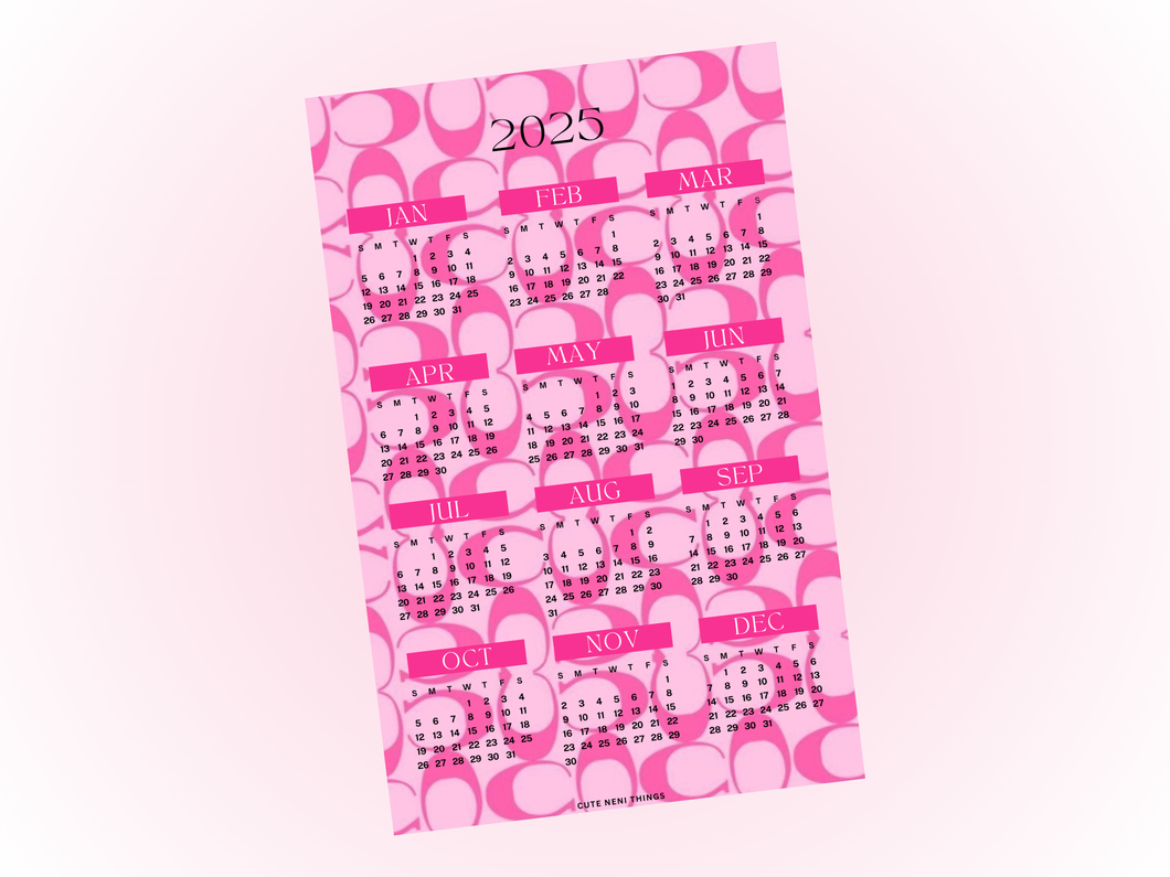 2025 Year at a glance | A5 Rings | Pink Coach