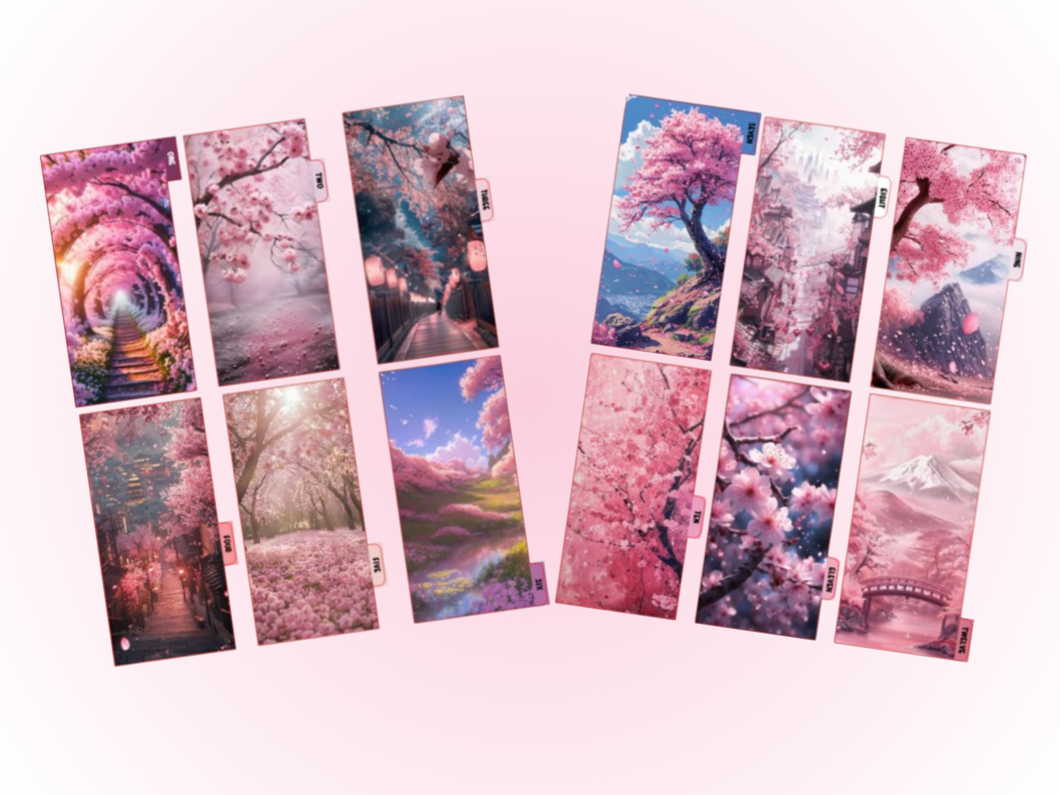 Cash Envelopes | Cherry Blossom | 12 Set