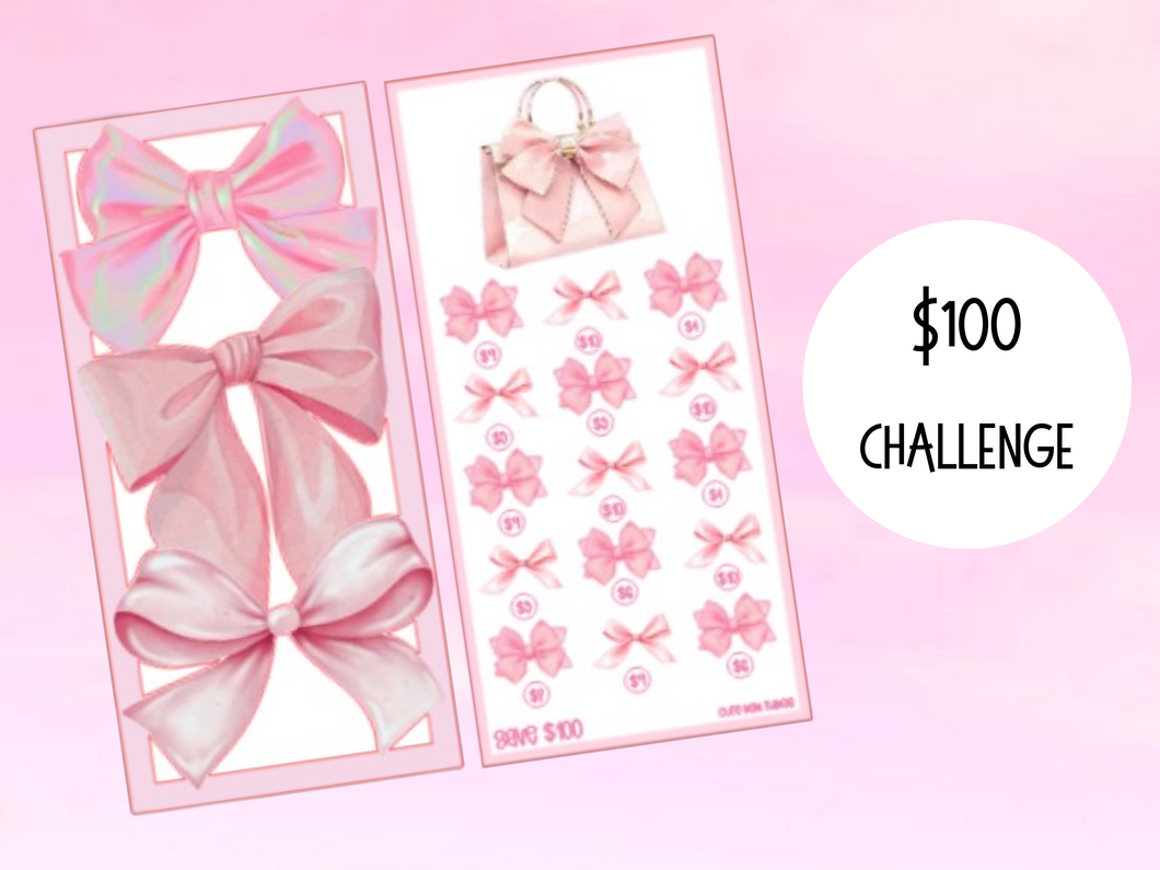 Savings Insert & Envelope Bundle | Purse Duo